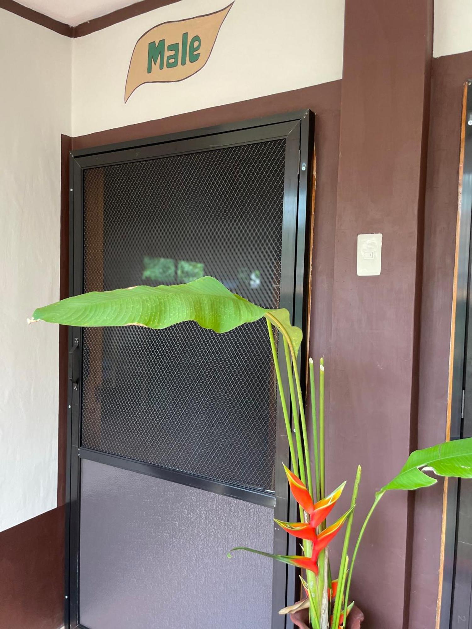 Chelle'S Guesthouse And Backpackers Сикиджор Екстериор снимка