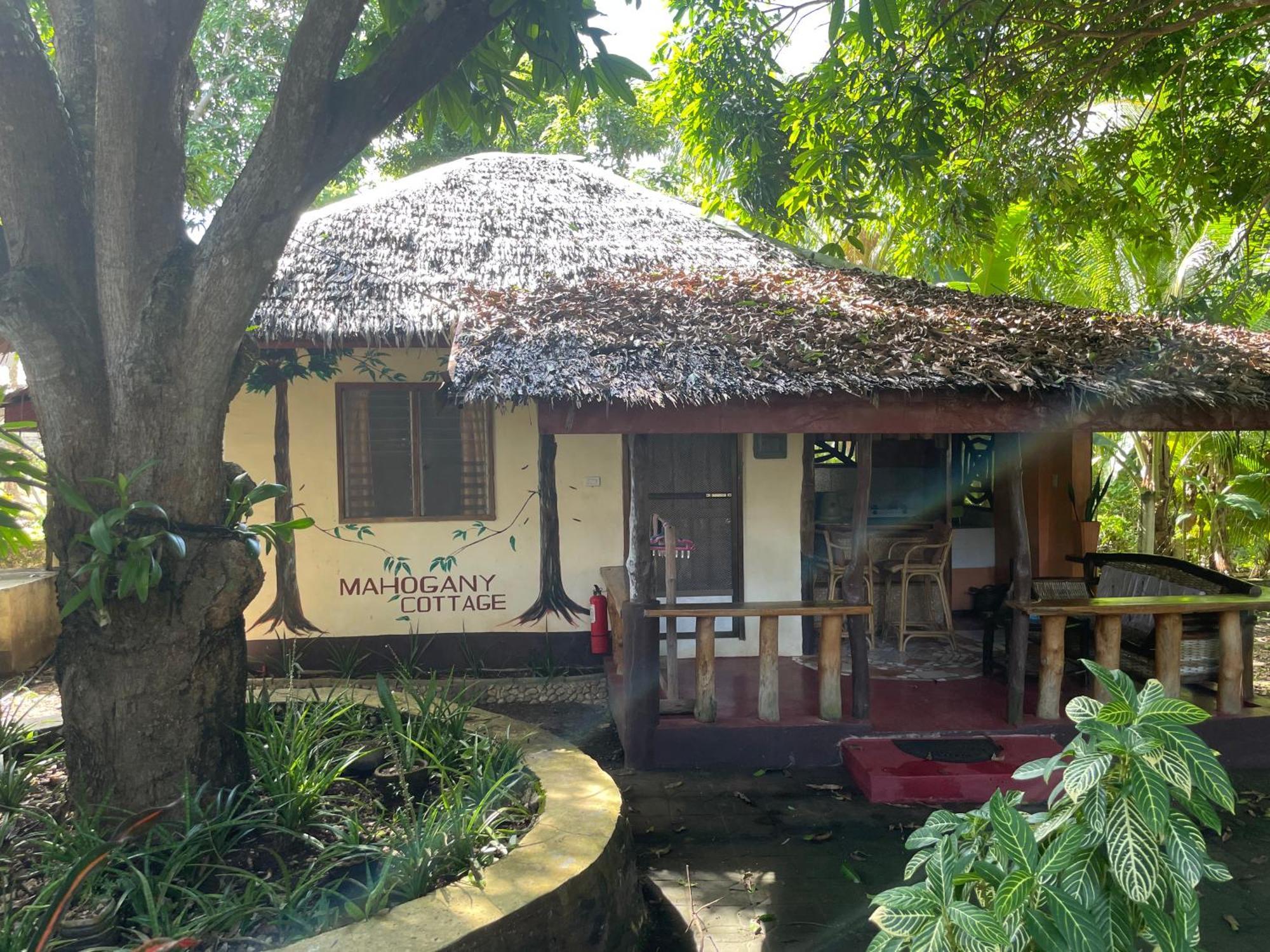 Chelle'S Guesthouse And Backpackers Сикиджор Екстериор снимка